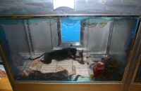 Pet shop "Life & Nature