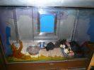 Pet shop "Life & Nature