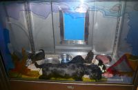 Pet shop "Life & Nature
