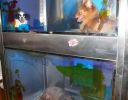 Pet shop "Life & Nature