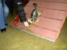 Agility v zimě - zasloužená ňamk