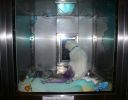 Pet shop "Life & Nature