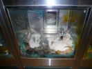 Pet shop "Life & Nature