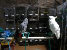 Pet shop "Life & Nature