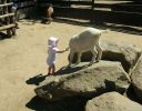 Pavlínka v ZOO