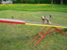 Agility - packa
