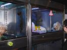Pet shop "Life & Nature