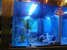 Pet shop "Life & Nature
