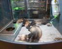 Pet shop "Life & Nature