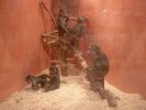 Pet shop "Joon" - poor
