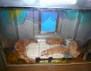 Pet shop "Life & Nature