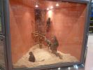 Pet shop "Joon" - poor