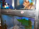 Pet shop "Life & Nature