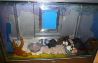 Pet shop "Life & Nature