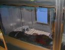 Pet shop "Life & Nature