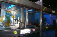 Pet shop "Life & Nature