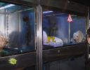 Pet shop "Life & Nature
