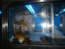 Pet shop "Life & Nature