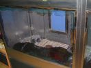 Pet shop "Life & Nature