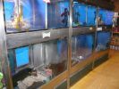 Pet shop "Life & Nature