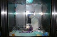 Pet shop "Life & Nature