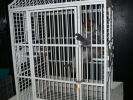 Pet shop "Life & Nature