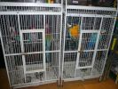 Pet shop "Life & Nature