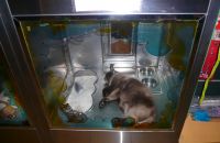 Pet shop "Life & Nature