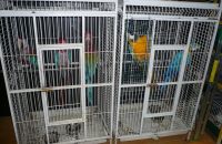 Pet shop "Life & Nature