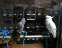 Pet shop "Life & Nature