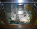 Pet shop "Life & Nature