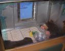 Pet shop "Life & Nature