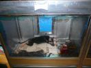 Pet shop "Life & Nature