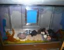 Pet shop "Life & Nature
