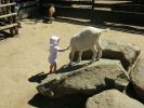 Pavlínka v ZOO