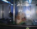 Pet shop "Life & Nature