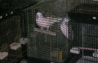 Pet shop "Life & Nature