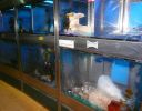 Pet shop "Life & Nature