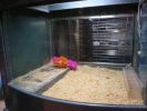 Pet shop "Life & Nature