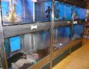 Pet shop "Life & Nature