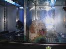 Pet shop "Life & Nature
