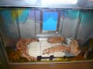 Pet shop "Life & Nature