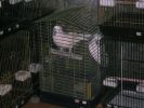 Pet shop "Life & Nature