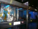 Pet shop "Life & Nature