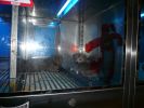 Pet shop "Life & Nature