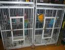 Pet shop "Life & Nature
