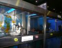 Pet shop "Life & Nature