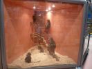 Pet shop "Joon" - poor