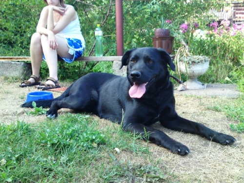 Dáša