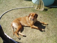 Paty